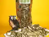 Receta Tallarines de alga wakame con almejas